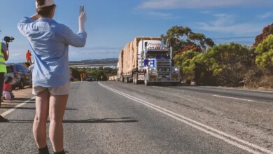 Lavinia Wehr Social Media Consultant