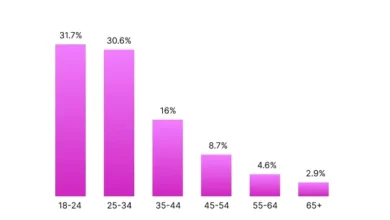 Key Audience Insights and Statistics