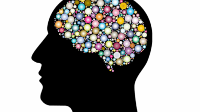 The Secret of Successful Business Website