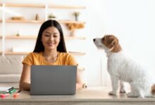 Find Your Audience with Pinterest SEO Basics for Pet Content Creators