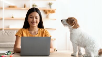 Find Your Audience with Pinterest SEO Basics for Pet Content Creators