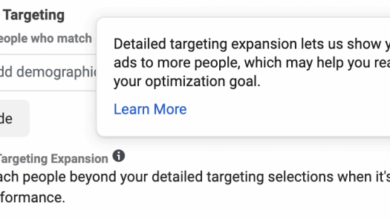 The Illusion of Control in Meta Advertising