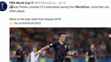 Topical vs Evergreen Content: Which One is For You?